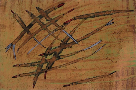Tessere voli